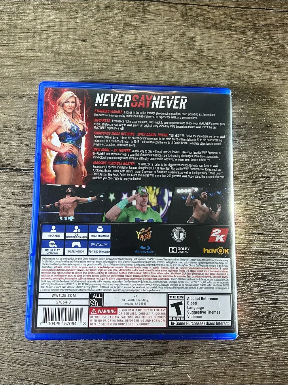 WWE 2K19 Video Game for PS4
